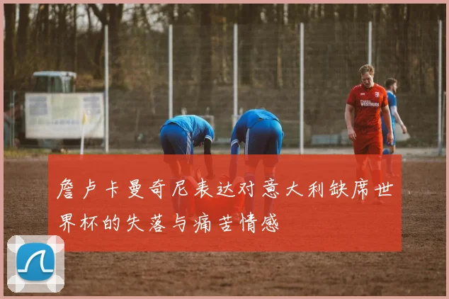 詹卢卡曼奇尼表达对意大利缺席世界杯的失落与痛苦情感