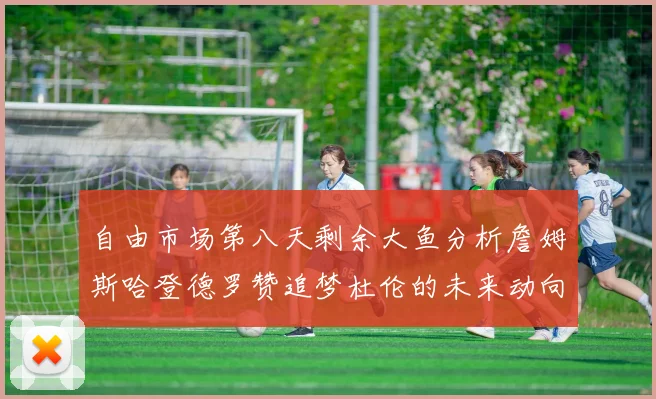自由市场第八天剩余大鱼分析詹姆斯哈登德罗赞追梦杜伦的未来动向